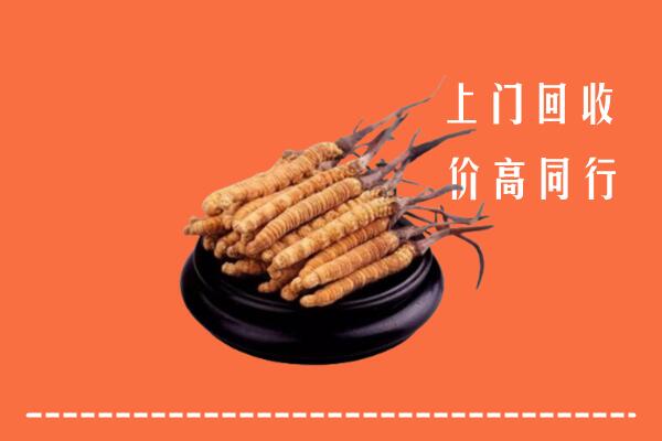 高价求购：永安市回收散虫草